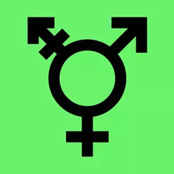 Gender Identity and the Social Work Exam
