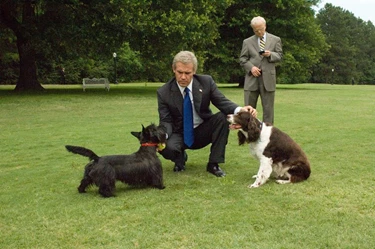 james brolin as george bush in "w." on white house lawn with dogs