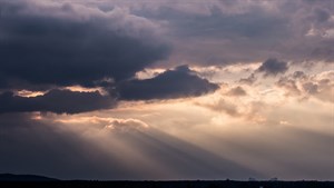 Acceptance and Test Anxiety