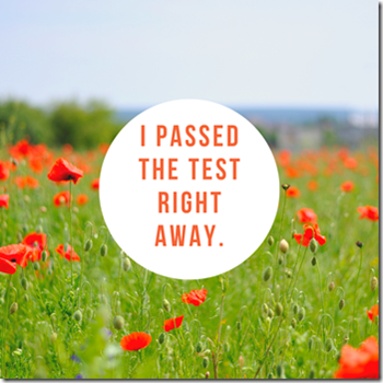 i passed the test right away - karen c., ma licsw