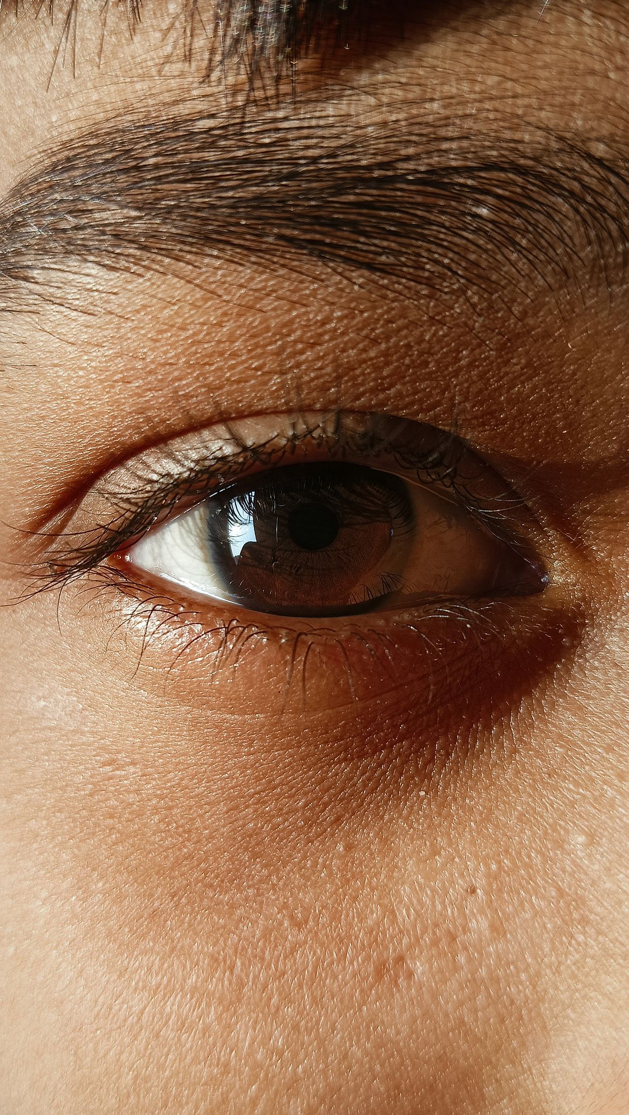 EMDR and the Social Work Exam