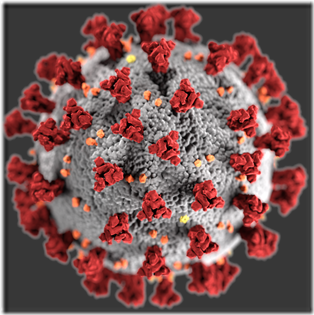 COVID-19 Info for Social Workers