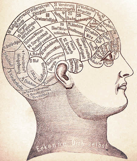 Phrenology (not on the LCSW exam)