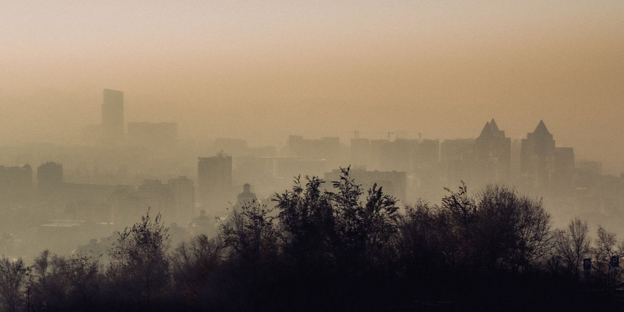 How environmental and global change affects clients