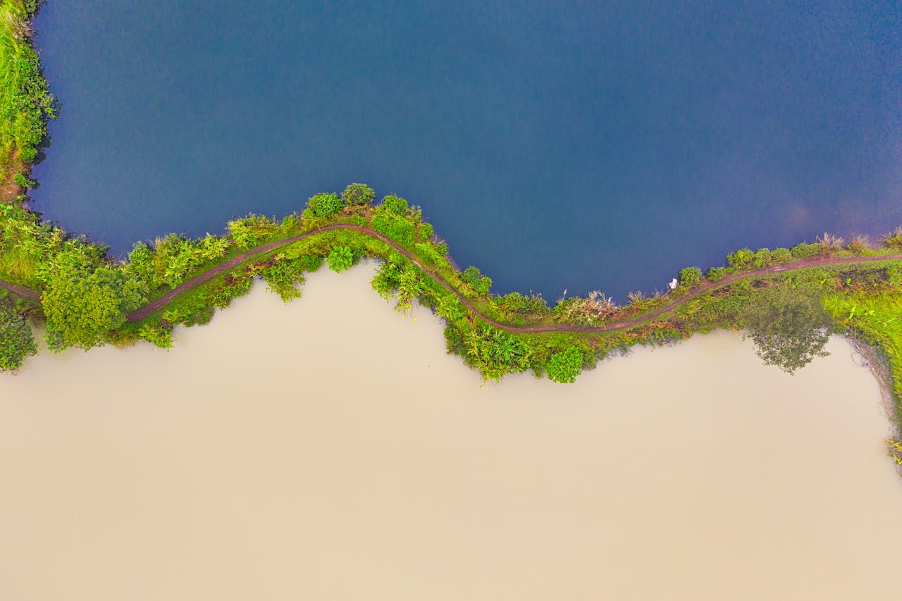 Assessment vs. Intervention: A Critical ASWB Distinction