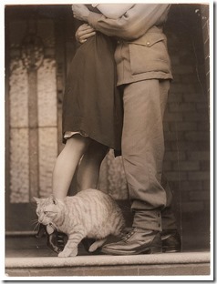 ED and the Social Work Exam