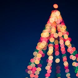 Shannon Passed: “The best Christmas present I could have given myself!”