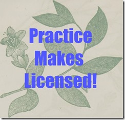 practice makes licensed