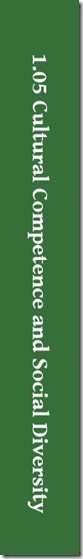 cultural competence