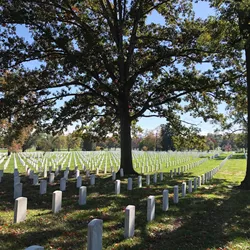 Legal and/or ethical issues related to death and dying