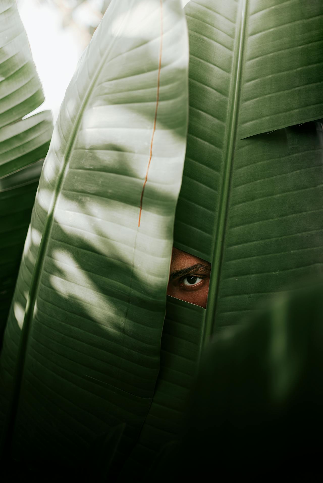 Ethics & the Exam: 4.03 Private Conduct